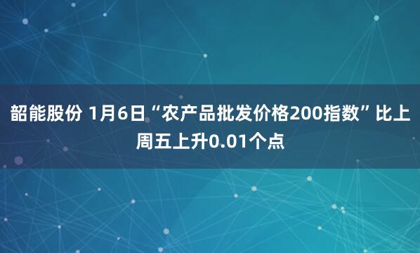 韶能股份 1月6日“农产品批发价格200指数”比上周五上升0.01个点