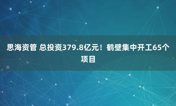 思海资管 总投资379.8亿元！鹤壁集中开工65个项目