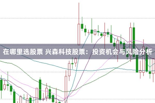 在哪里选股票 兴森科技股票：投资机会与风险分析