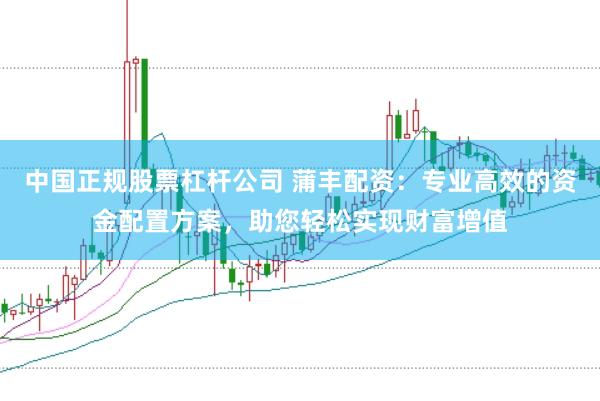 中国正规股票杠杆公司 蒲丰配资：专业高效的资金配置方案，助您轻松实现财富增值