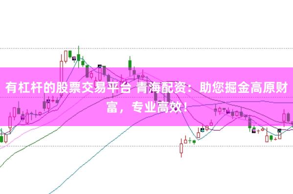 有杠杆的股票交易平台 青海配资：助您掘金高原财富，专业高效！