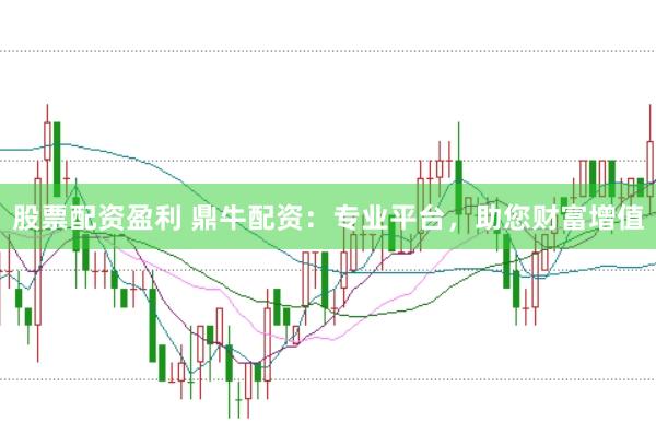 股票配资盈利 鼎牛配资：专业平台，助您财富增值