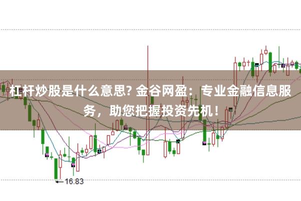 杠杆炒股是什么意思? 金谷网盈：专业金融信息服务，助您把握投资先机！
