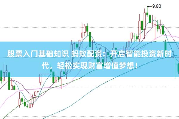 股票入门基础知识 蚂蚁配资：开启智能投资新时代，轻松实现财富增值梦想！