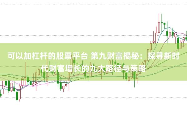可以加杠杆的股票平台 第九财富揭秘：探寻新时代财富增长的九大路径与策略