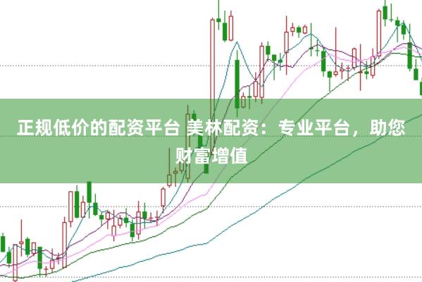 正规低价的配资平台 美林配资：专业平台，助您财富增值
