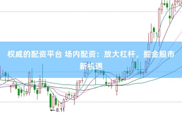 权威的配资平台 场内配资：放大杠杆，掘金股市新机遇