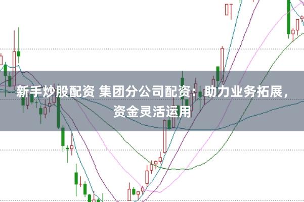 新手炒股配资 集团分公司配资：助力业务拓展，资金灵活运用