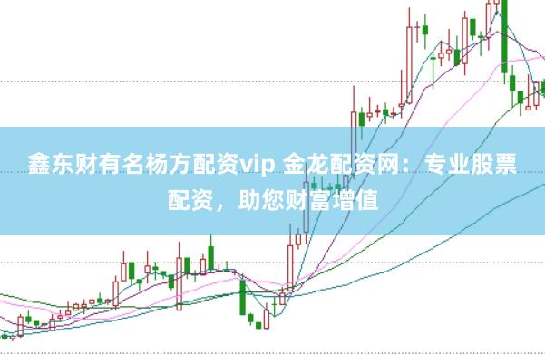 鑫东财有名杨方配资vip 金龙配资网：专业股票配资，助您财富增值