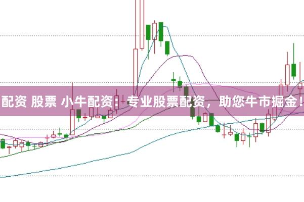 配资 股票 小牛配资：专业股票配资，助您牛市掘金！