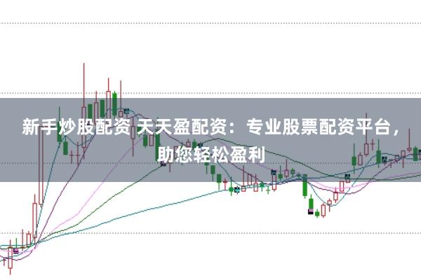 新手炒股配资 天天盈配资：专业股票配资平台，助您轻松盈利