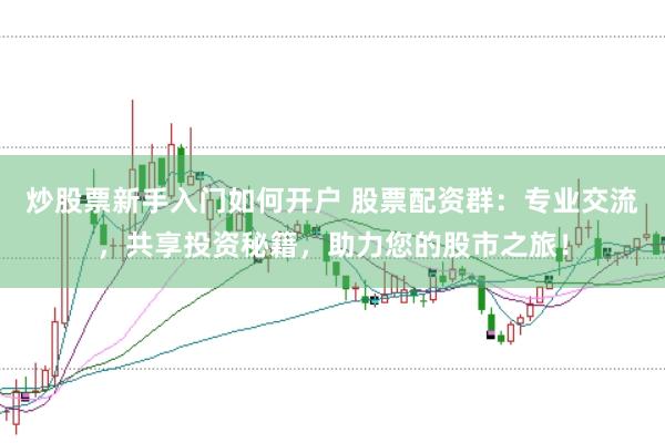 炒股票新手入门如何开户 股票配资群：专业交流，共享投资秘籍，助力您的股市之旅！