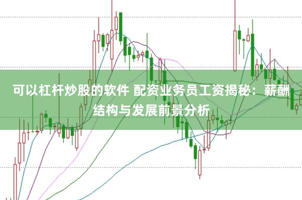 可以杠杆炒股的软件 配资业务员工资揭秘：薪酬结构与发展前景分析