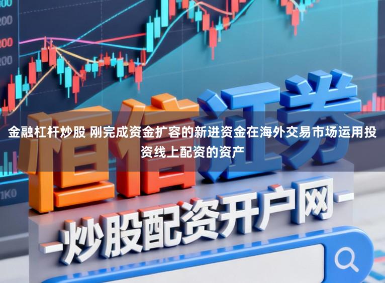 金融杠杆炒股 刚完成资金扩容的新进资金在海外交易市场运用投资线上配资的资产