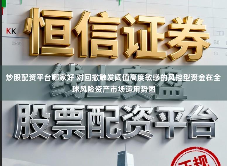 炒股配资平台哪家好 对回撤触发阈值高度敏感的风控型资金在全球风险资产市场运用势图