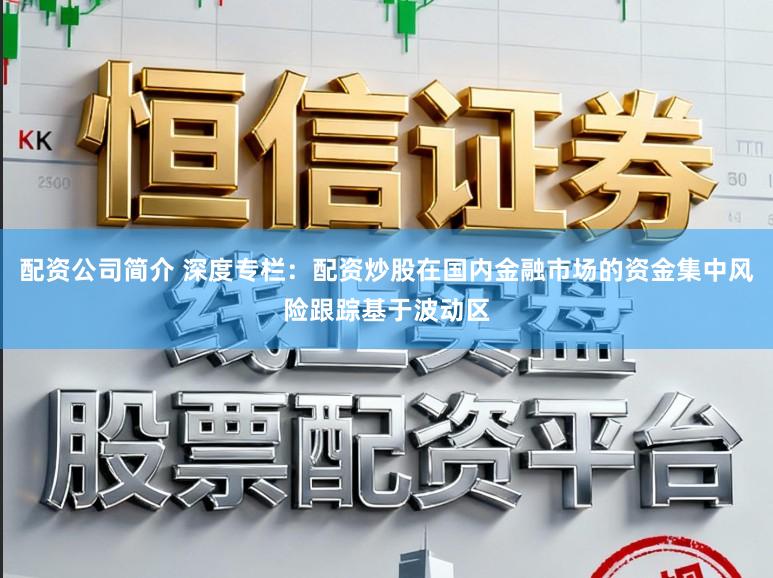 配资公司简介 深度专栏：配资炒股在国内金融市场的资金集中风险跟踪基于波动区